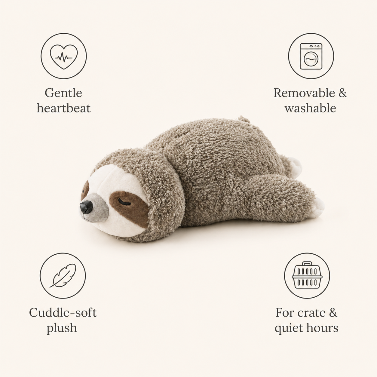 Comfort Companion